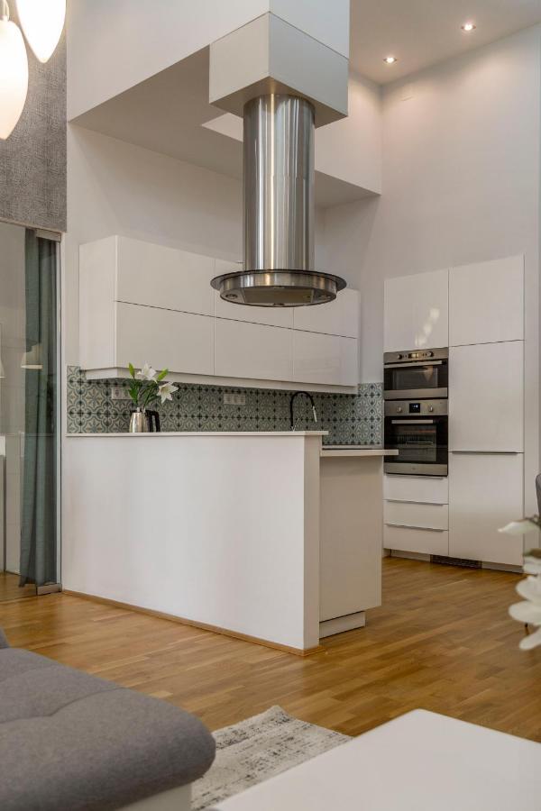 Luxurious & Spacious Downtown Residence In Liszt Ferenc Square بودابست المظهر الخارجي الصورة